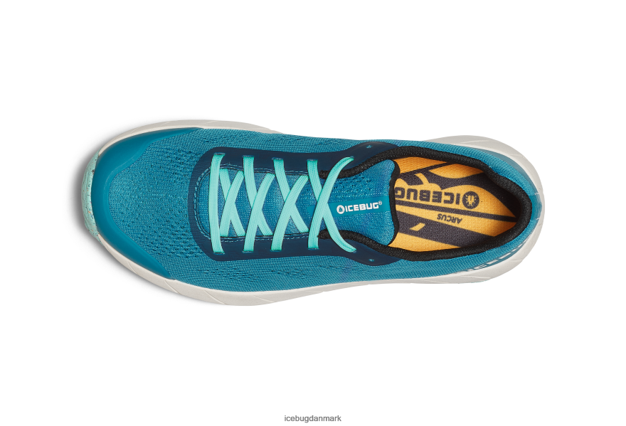 aqua/aruba Kvinder fodtøj Z2HR6P4 Icebug arcus rb9x