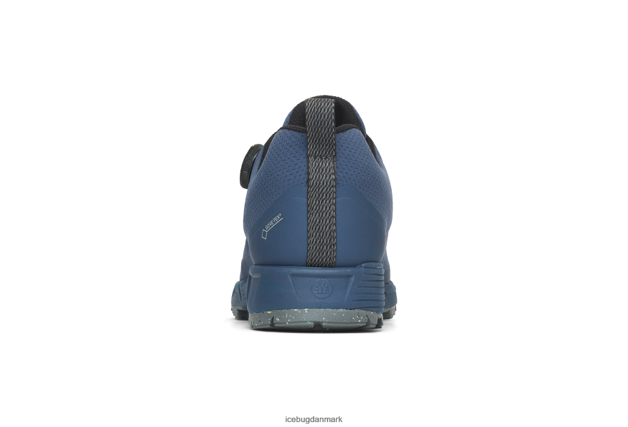 blåbær Kvinder fodtøj Z2HR6P49 Icebug rover rb9x gtx