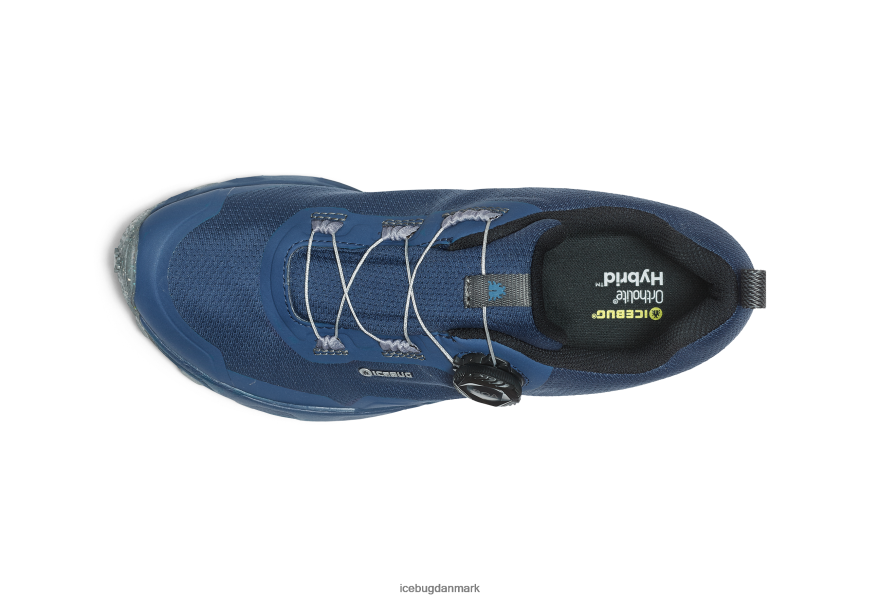 blåbær Kvinder fodtøj Z2HR6P49 Icebug rover rb9x gtx