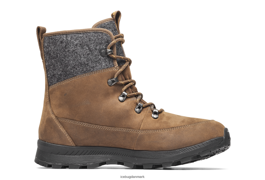 kaffe/grå Kvinder fodtøj Z2HR6P47 Icebug adak rewool michelin