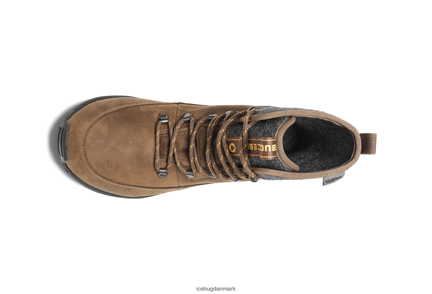 kaffe/grå Mænd fodtøj Z2HR6P81 Icebug adak rewool michelin