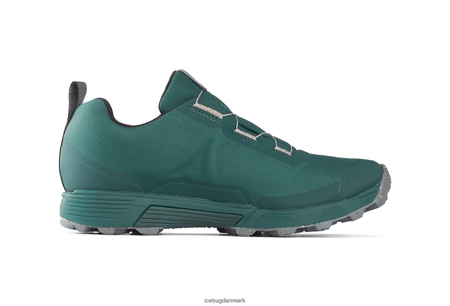 krikand/sten Mænd fodtøj Z2HR6P83 Icebug rover rb9x gtx