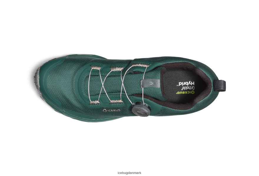 krikand/sten Mænd fodtøj Z2HR6P83 Icebug rover rb9x gtx