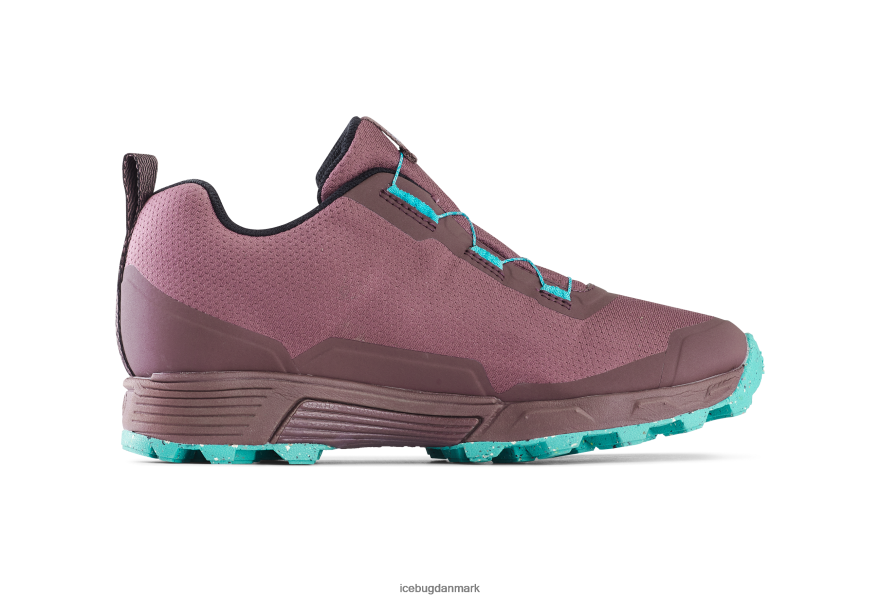 støv blomme/mynte Kvinder fodtøj Z2HR6P15 Icebug rover rb9x gtx