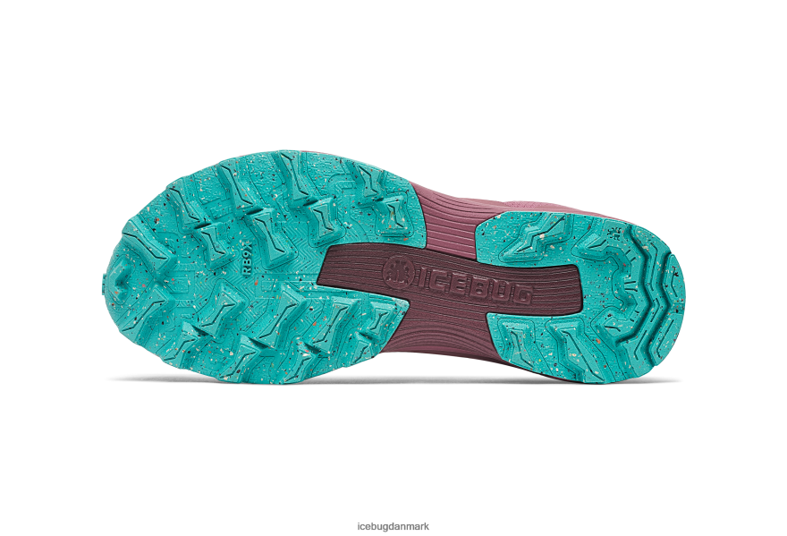 støv blomme/mynte Kvinder fodtøj Z2HR6P15 Icebug rover rb9x gtx