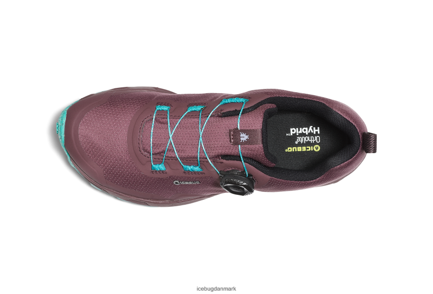 støv blomme/mynte Kvinder fodtøj Z2HR6P15 Icebug rover rb9x gtx